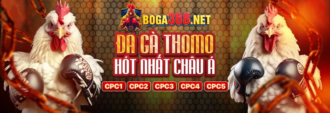 Hình ảnh Điều Khoản & Điều Kiện của 678vip nhà cái